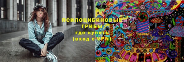 индика Верхний Тагил